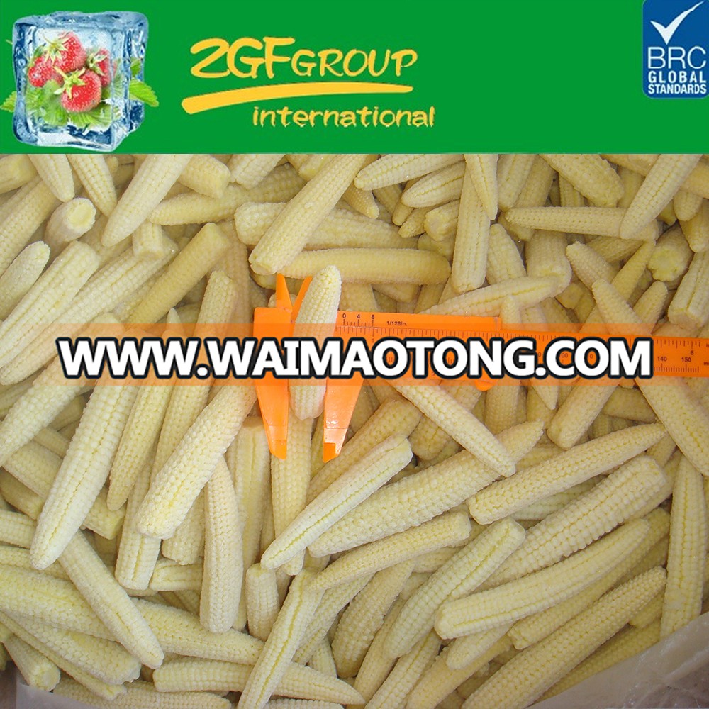 New Season high quality fresh iqf frozen baby corn cut for sale