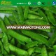 competitive price IQF fresh pea pods