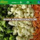 IQF frozen mixed vegetables with different vegetables