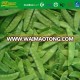 Iqf Frozen Peapods Sweet Broad Pea Seasonal Snow Pea Pod