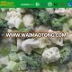 IQF frozen mixed vegetables with different vegetables