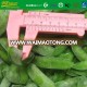 competitive price IQF frozen pea pods