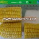 IQF Frozen  cut sweet corn cob 4-6cm