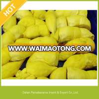 Frozen Fruit/Wholesale Frozen Fruits