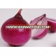 Fresh vegetables importer fresh red onion export to dubai good seller