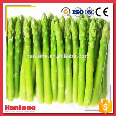 Fresh Dried Freeze Asparagus