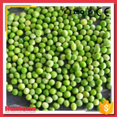 Best Price High Quality Food Specification Frozen Green Peas