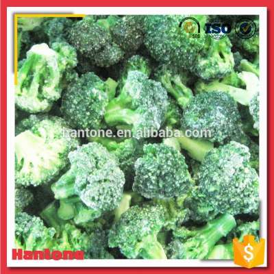 Bulk Organic Frozen Vegetables Fresh Broccoli Pieces