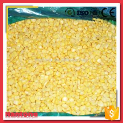 IQF Frozen Sweet Corn Price