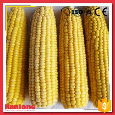 New Crop Frozen Sweet Corn Cobs