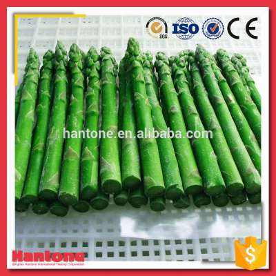 Top Grade Fresh Green Asparagus Imported