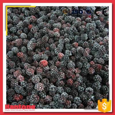 Hot Sale Sweet Frozen Organic Blackberry